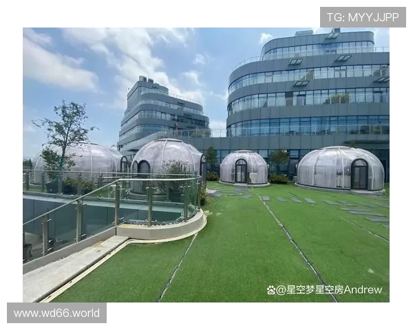 五洲国际酒店:尊享奢华体验与优质服务的理想之选 五洲国际酒店:尊享奢华体验与优质服务的理想之选